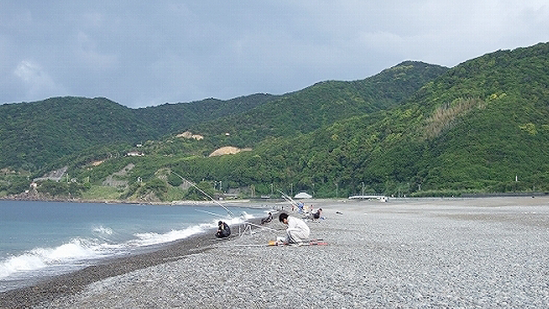 日高川右岸に広がる煙樹ヶ浜