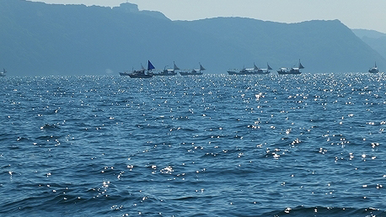 紀伊水道の船釣り