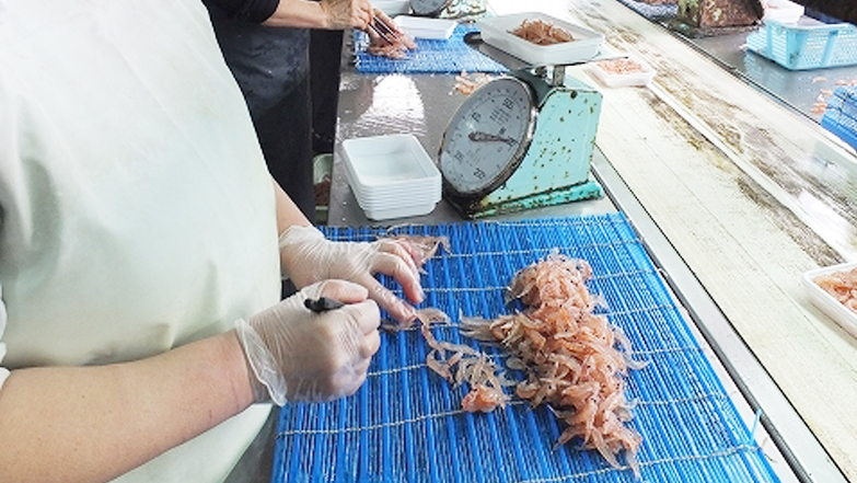 浜市の釣り餌