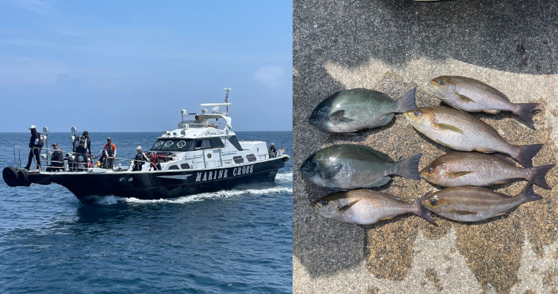 釣果レポート | 6月16日(日) 博多友グレ会の月例会で長崎県の壱岐に