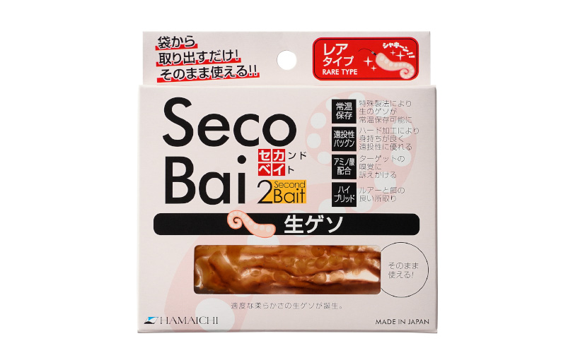 geso_2_main