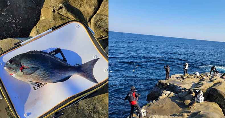 釣果レポート | 守山周伺さんレポート 2024年12月29日宮崎県南郷水島へ