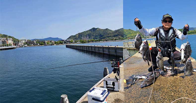釣果レポート | 5月8日 ハウステンボス沖波止で過去最高の大爆釣